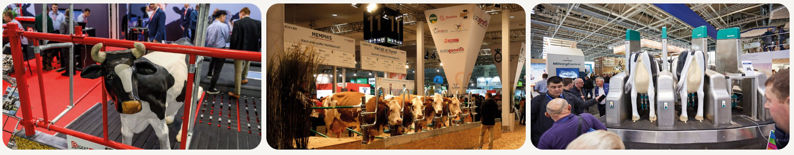 0117645700033260.png ScreenShot_2025-12-01_141937_299.png