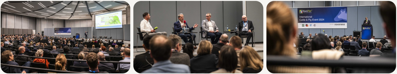 0117645704936920.png ScreenShot_2025-12-01_142659_162.png