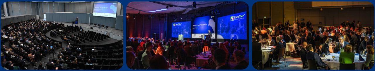 0117645706737703.png ScreenShot_2025-12-01_142851_103.png