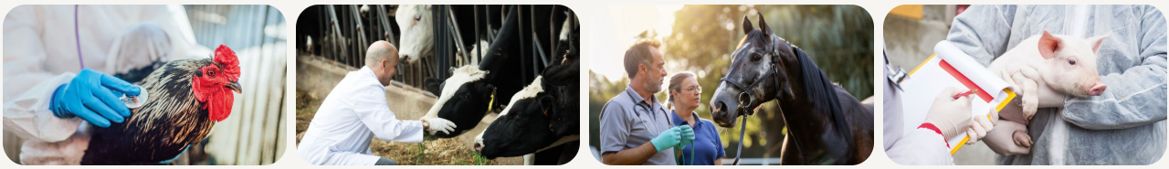 0117645707124869.png ScreenShot_2025-12-01_143004_484.png